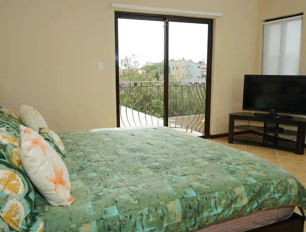 Nice House With Private Pool In Gold Coast Palm Beach Aruba
